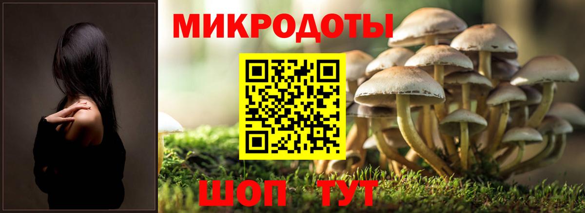 Псилоцибиновые грибы GOLDEN TEACHER  Вход с VPN  Щёлково  Псилоцибиновые грибы мухоморы 
